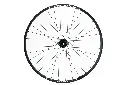 Kanuga FF White Rear.webp