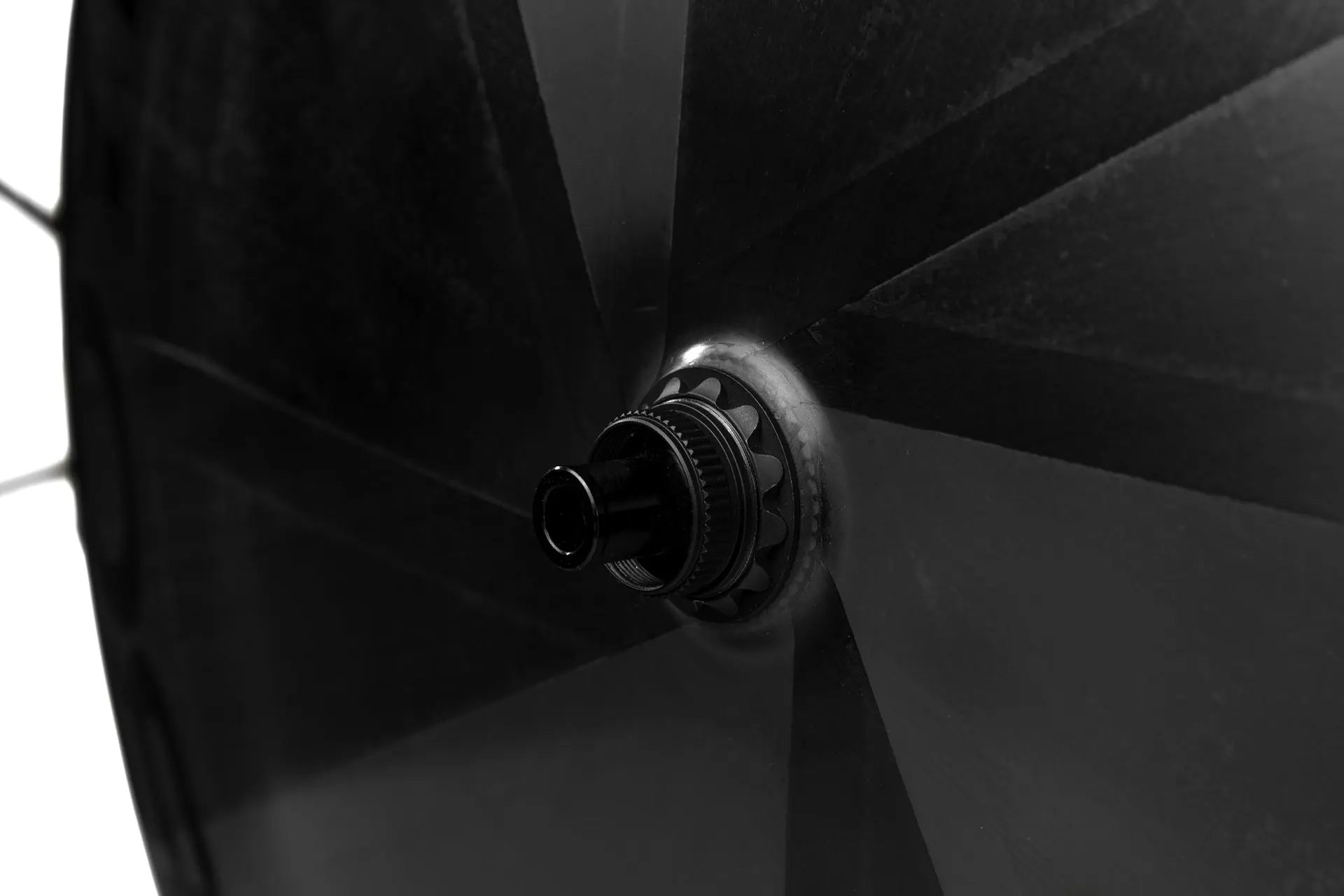 768A6533 copy.webp