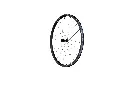 768A5005.webp
