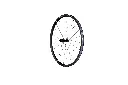768A5007.webp