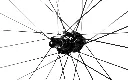 723A2577.webp