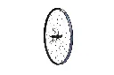 768A5601.webp