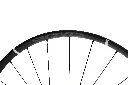 768A5610.webp
