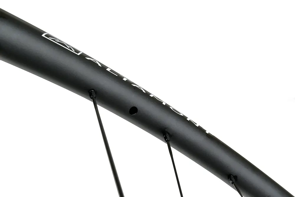 Altamont Disc detail 9.webp