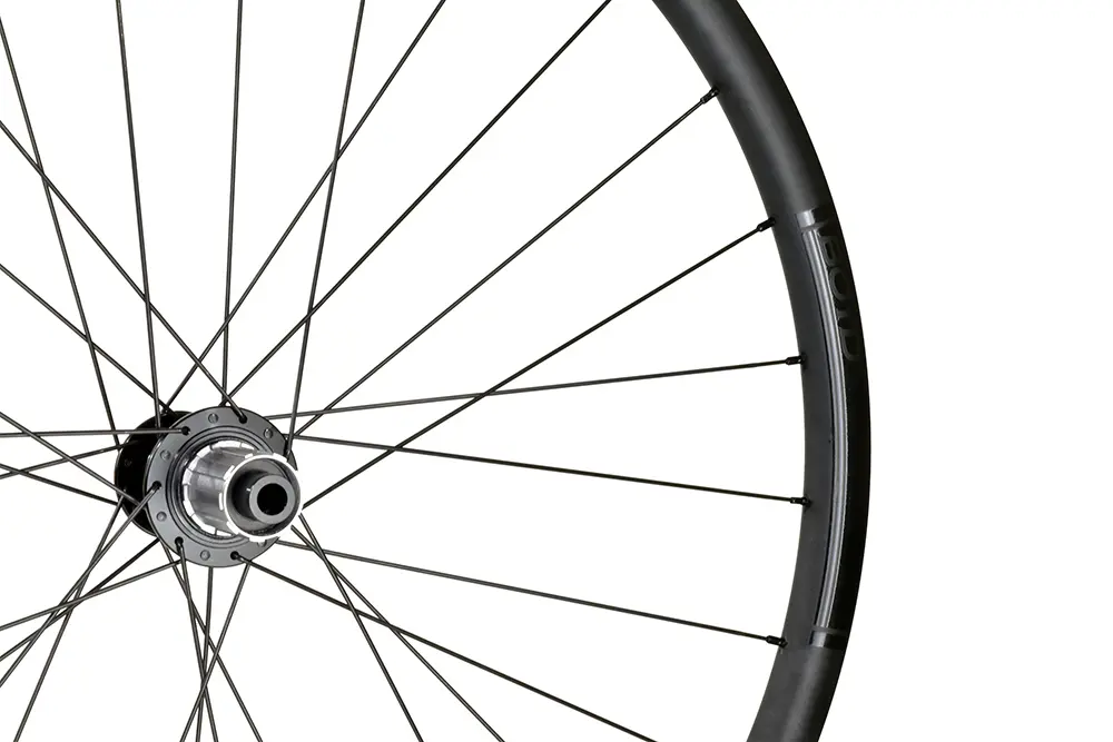 Altamont Disc detail 2.webp