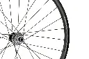 Altamont Disc detail 2.webp