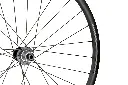 Altamont Disc detail 2.webp