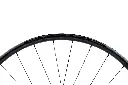 DSC08576-ccc.webp