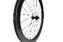 55 road disc detail 3 web.webp