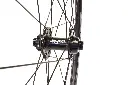 Skyuka front 1.webp