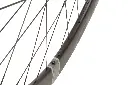 60mm Prologue disc detail 3.webp