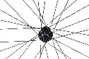 44mm Prologue Rim Brake rear 5.webp