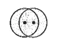 Rouleur Disc Wheelset.webp