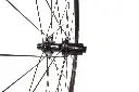 Skyuka rear 1.webp
