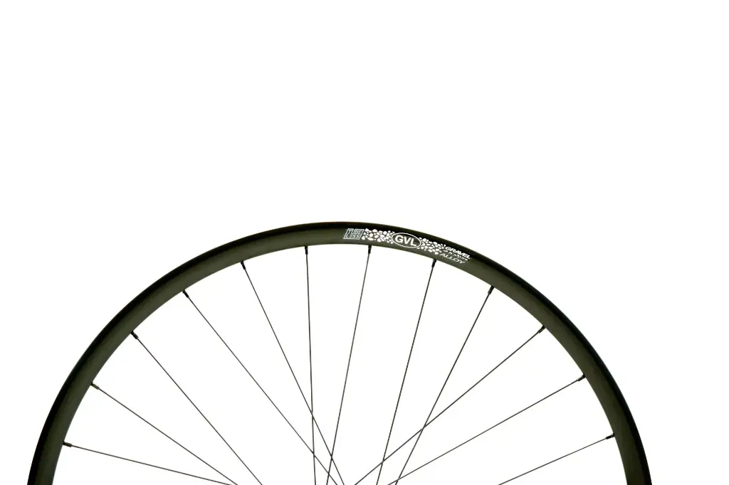 GVL_disc-brake_logo_half.webp