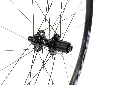 GVL_disc-brake_backwheel_hub_boyd.webp