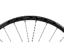 Jocassee detail 9.webp