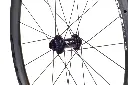 Jocassee detail 8.webp