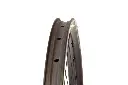 Jocassee detail 5.webp