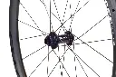 Jocassee detail 8.webp