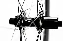BC_44disc_R_Detail1.webp
