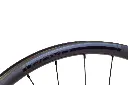 Jocassee detail 6.webp