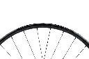 DSC08576-ccc.webp