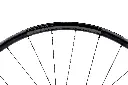 DSC08562-ccc.webp