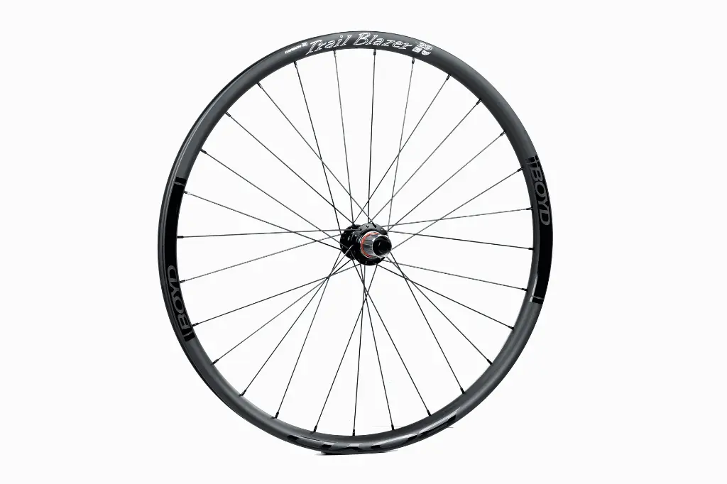 Trailblazer Rear.webp