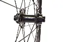 Rouleur Disc Front Detail 2.webp