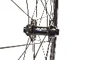Rouleur Disc Front Detail 1.webp