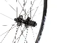 GVL_disc-brake_backwheel_hub_boyd.webp