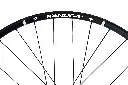DSC08026-1.webp